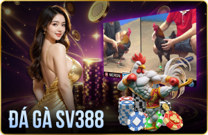 SV388 - Trang cá cược đá gà online không thể bỏ qua